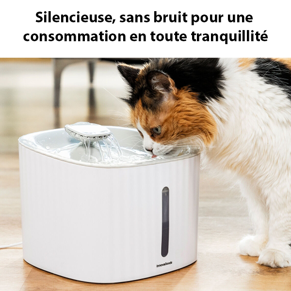 Fontaine à eau innovante Drinkatt pour animaux avec purification et 3 modes de débit