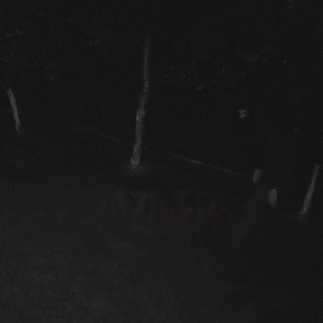 Caméra de Surveillance 1080P avec Détection de Mouvement et Alertes Instantanées