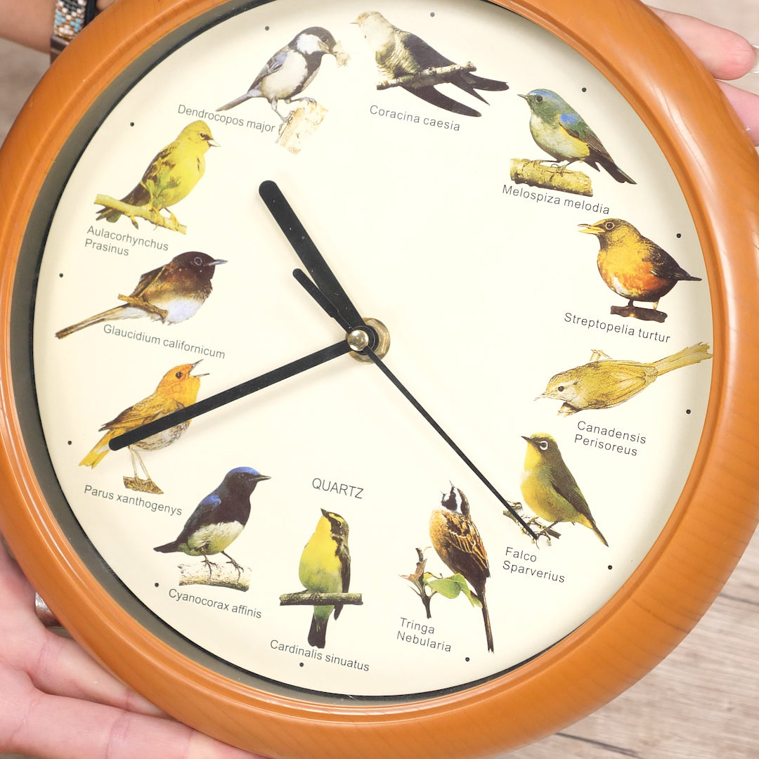 Horloge Naturelle avec 12 Chants d'Oiseaux