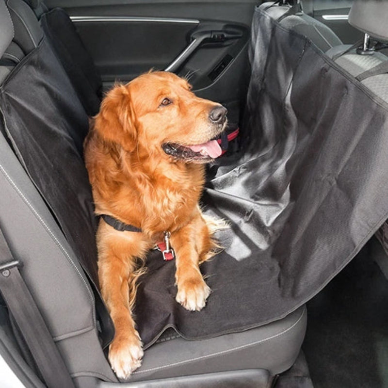 Housse Universelle pour Voiture : Protection Idéale pour Votre Chien