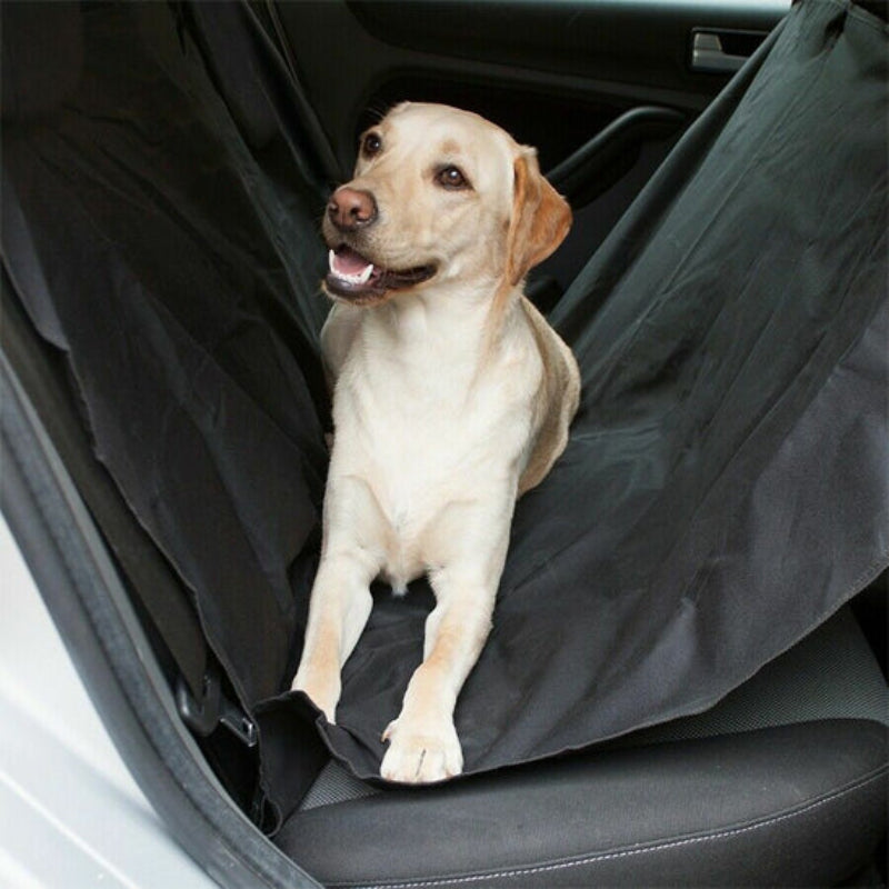 Housse Universelle pour Voiture : Protection Idéale pour Votre Chien