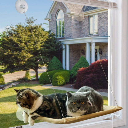Hamac à Ventouses Cat Bed : Confort Panorama pour Chats
