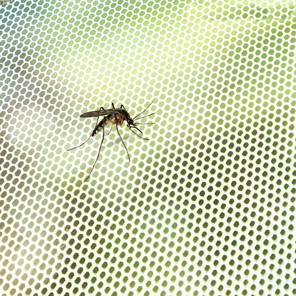 Moustiquaire Adhésive Découpable : Protection Discrète Contre les Insectes
