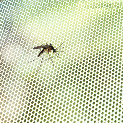 Moustiquaire Adhésive Découpable : Protection Discrète Contre les Insectes