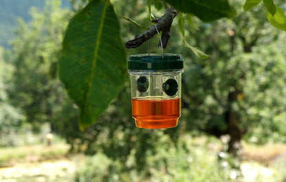 Piège Solaire Écologique Anti-Insectes