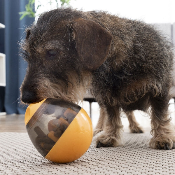 Distributeur de friandises interactif 2-en-1 pour animaux