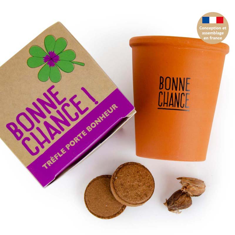 Kit de Plantation Trèfle à 4 Feuilles - Attirez la Chance à Domicile