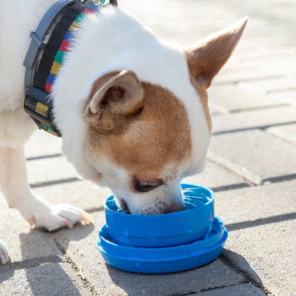 Laisse de chien multifonction 6 en 1 avec lampe LED et distributeur d'eau