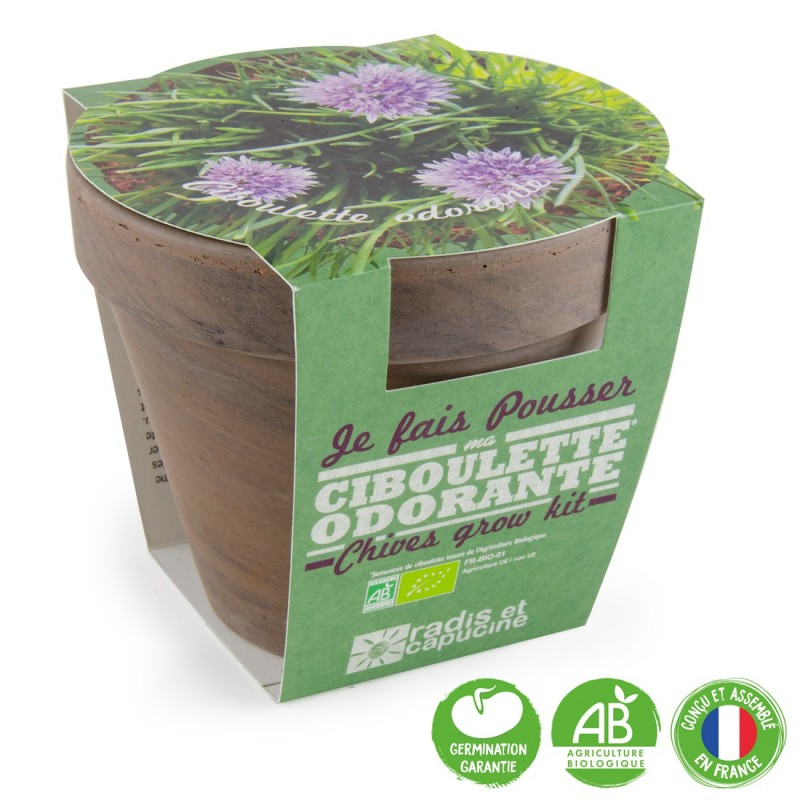 Kit Ciboulette Bio avec Pot en Terre Cuite - Pour une Cuisine Fraîche !