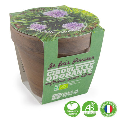 Kit Ciboulette Bio avec Pot en Terre Cuite - Pour une Cuisine Fraîche !