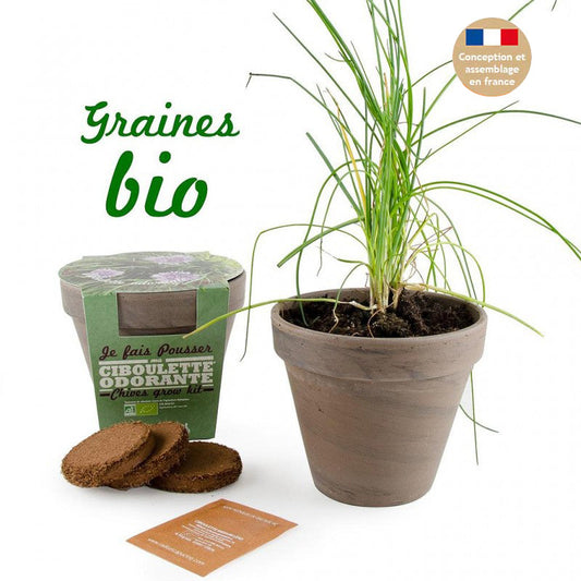 Kit Ciboulette Bio avec Pot en Terre Cuite - Pour une Cuisine Fraîche !