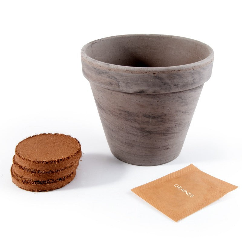 Kit Ciboulette Bio avec Pot en Terre Cuite - Pour une Cuisine Fraîche !