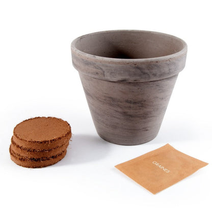 Kit Ciboulette Bio avec Pot en Terre Cuite - Pour une Cuisine Fraîche !