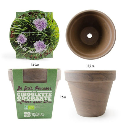 Kit Ciboulette Bio avec Pot en Terre Cuite - Pour une Cuisine Fraîche !