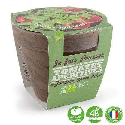 Kit de Plantation Intérieur Tomate Cerise BIO avec Pot en Terre Cuite