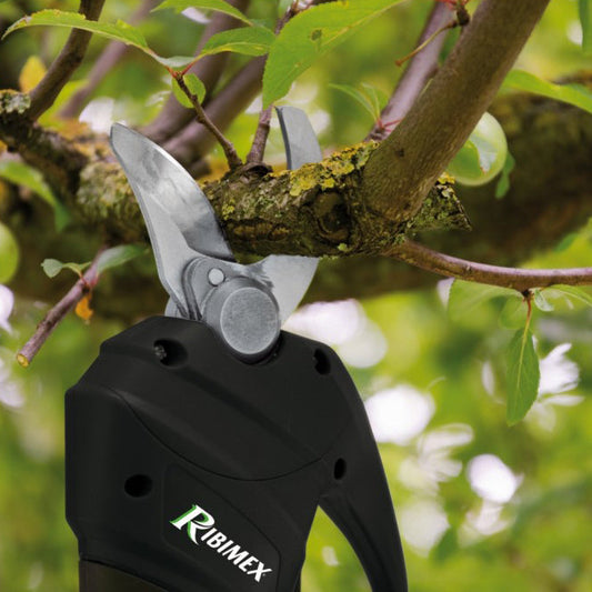 Sécateur à batterie R-BAT20 - Performance et légèreté au jardin