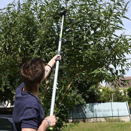 Coupe-branche télescopique pour un jardinage sans effort
