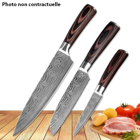 Ensemble de 3 couteaux japonais ultra tranchants pour chefs passionnés