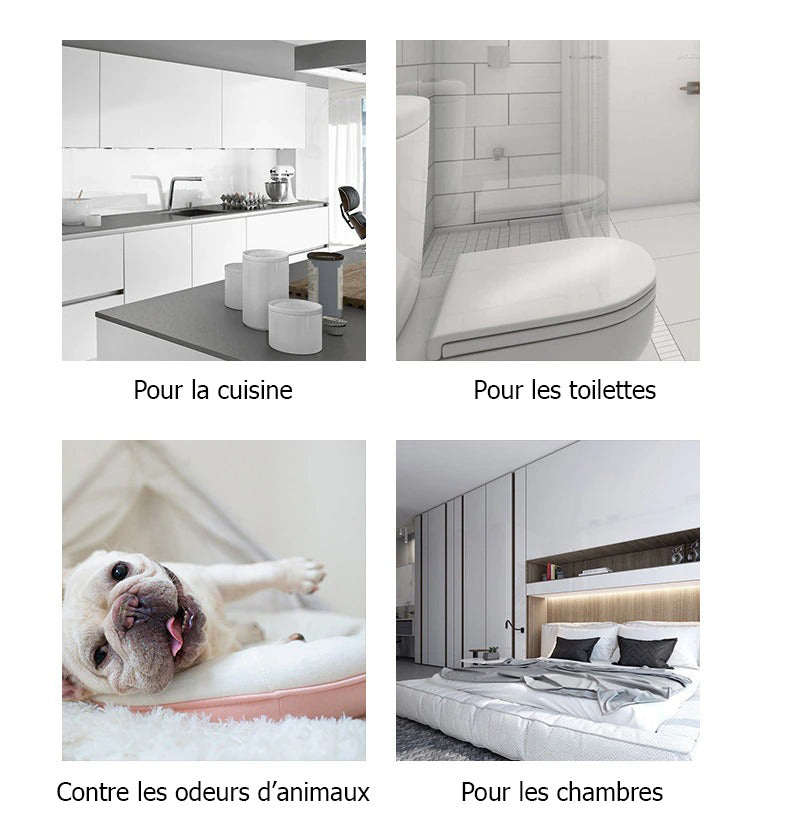 Purificateur d'air compact : respirez pur et sain chez vous