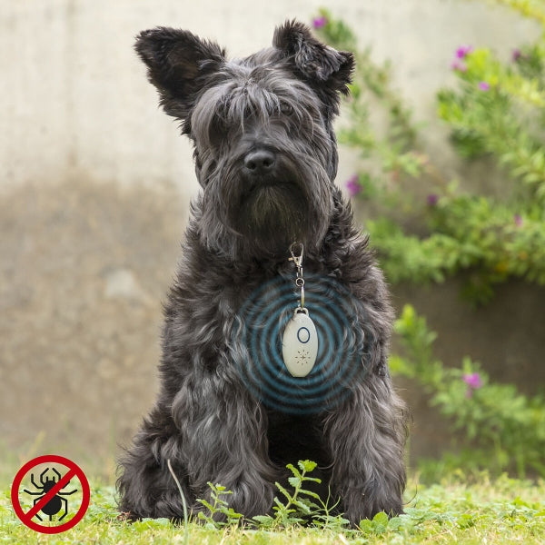 Répulsif Ultrasonique Anti-Tiques et Moustiques pour Animaux