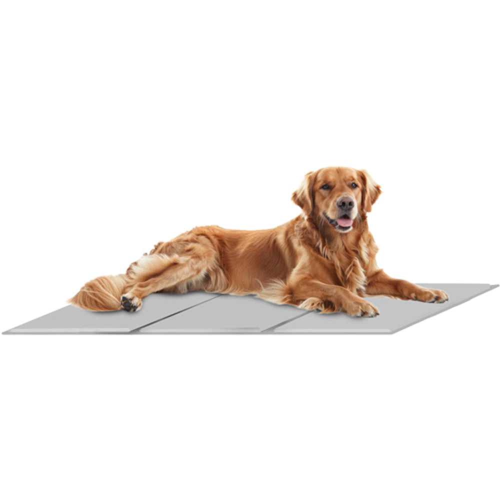Tapis Rafraîchissant XXL pour un Été Confortable avec Votre Animal