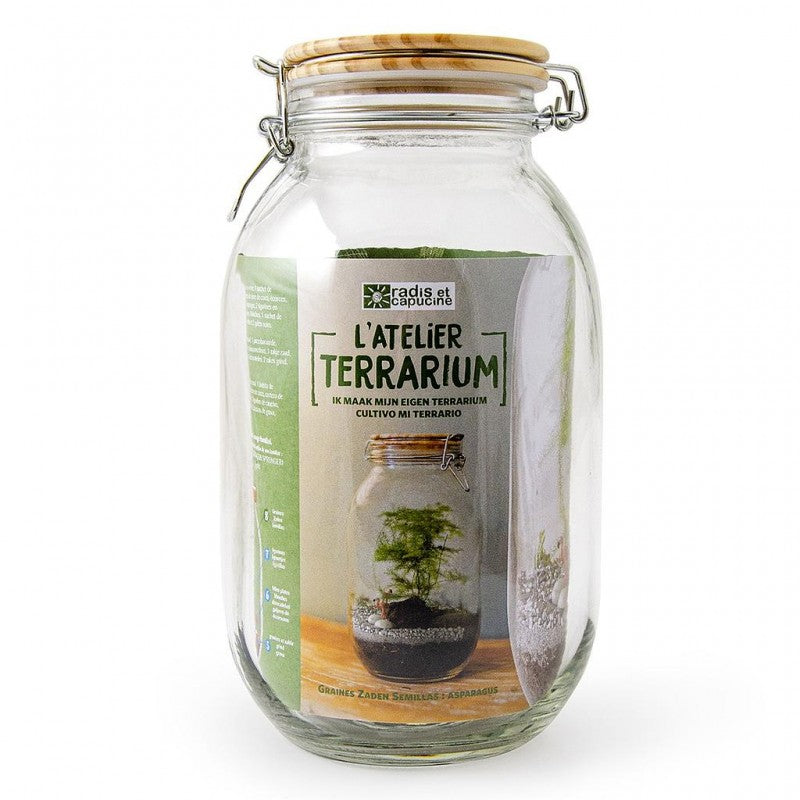 Terrarium DIY à assembler avec graines d'asparagus et accessoires