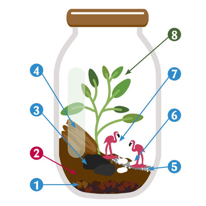 Terrarium DIY à assembler avec graines d'asparagus et accessoires