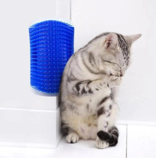 Brosse d'angle Groomer pour chats : le soin et le bonheur à la maison