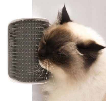 Brosse d'angle Groomer pour chats : le soin et le bonheur à la maison