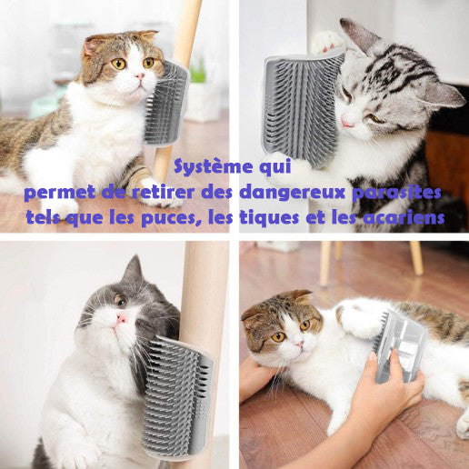 Brosse d'angle Groomer pour chats : le soin et le bonheur à la maison