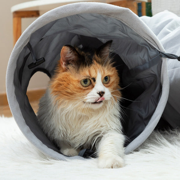 Tunnel Pliable Élégant pour Chats - Jeu et Repos Incontournable