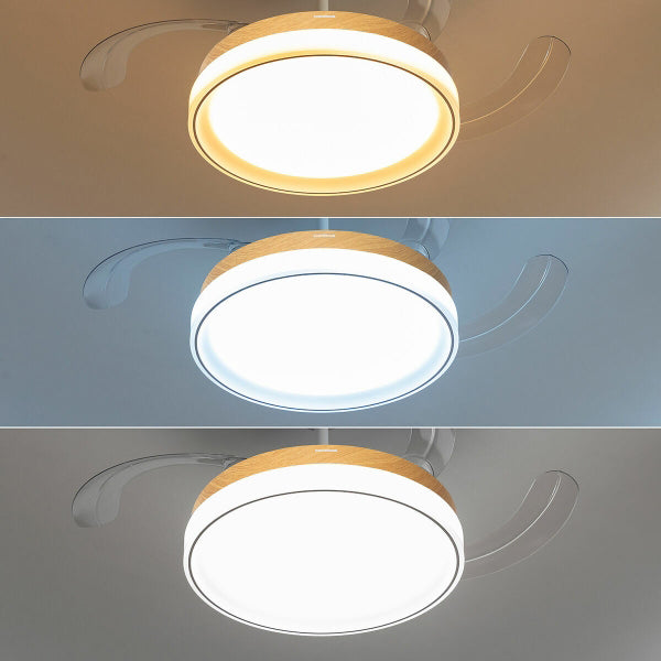 Ventilateur de plafond moderne avec éclairage LED et pales rétractables